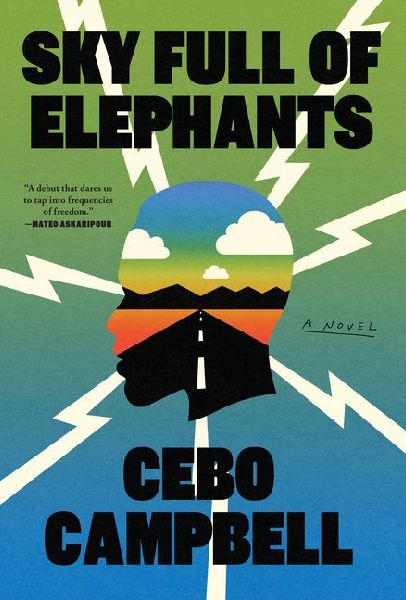 Sky Full of Elephants