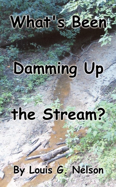 Whats Been Damming Up the Stream?
