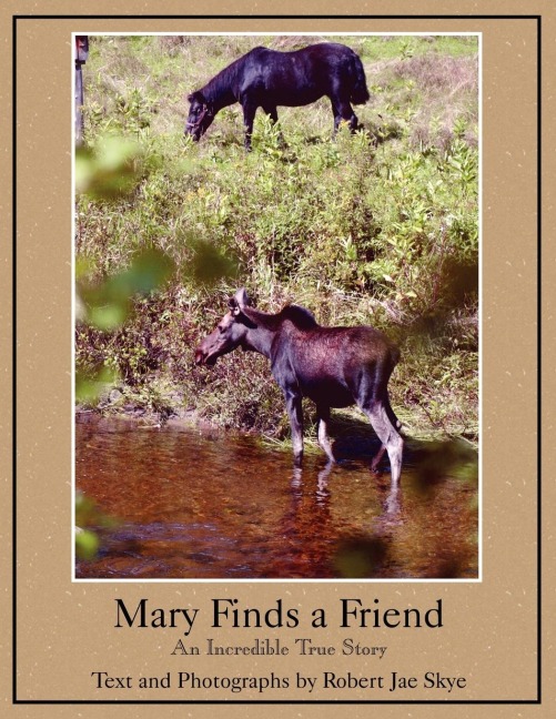 Mary Finds a Friend