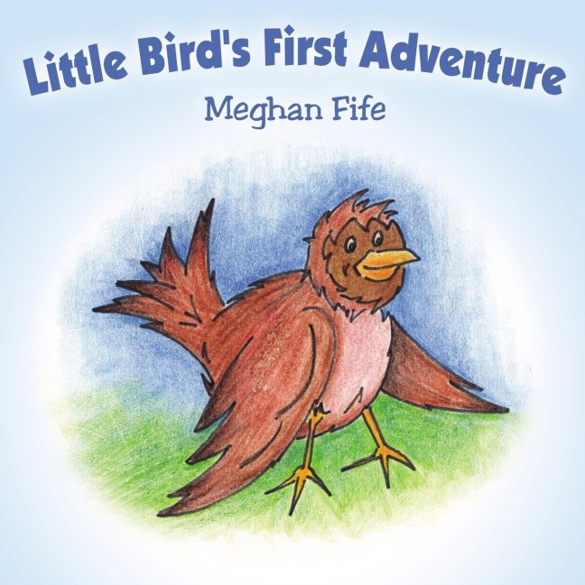 Little Birds First Adventure