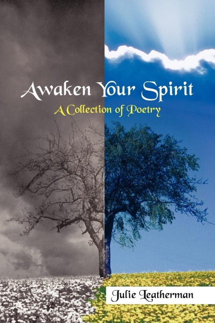 Awaken Your Spirit: A Collection of Poetry