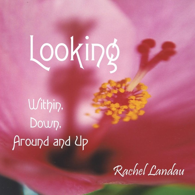 Looking: Within, Down, Around and Up