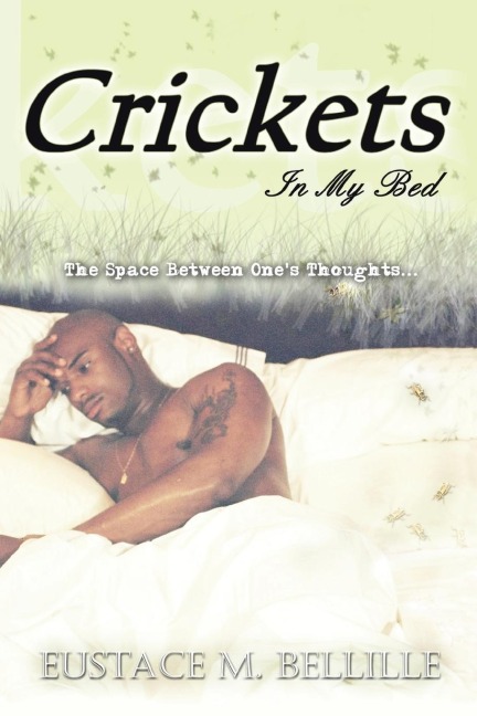 Crickets in My Bed: The Space Between Ones Thoughts...