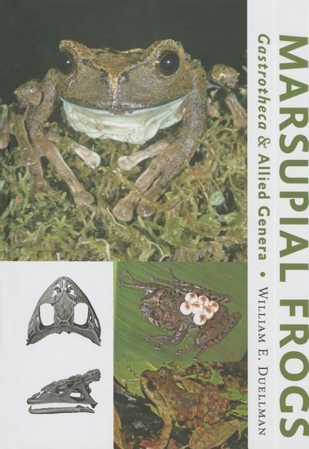 Marsupial Frogs: Gastrotheca and Allied Genera