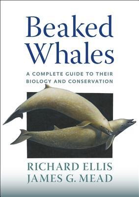 Beaked Whales: A Complete Guide to Their Biology and Conservation