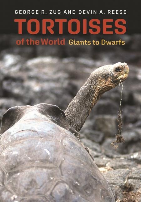 Tortoises of the World: Giants to Dwarfs