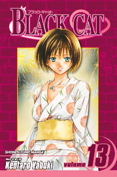 Black Cat, Vol. 13