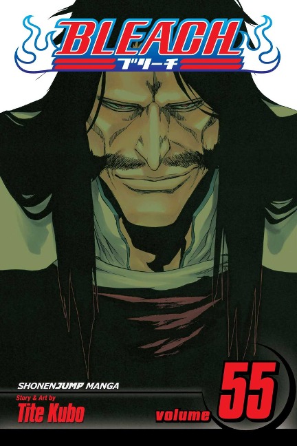 Bleach, Vol. 55: The Blood Warfare