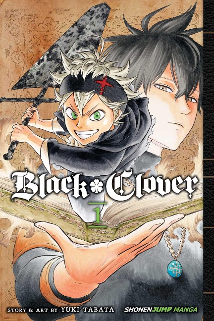 Black Clover, Vol. 1: The Boys Vow