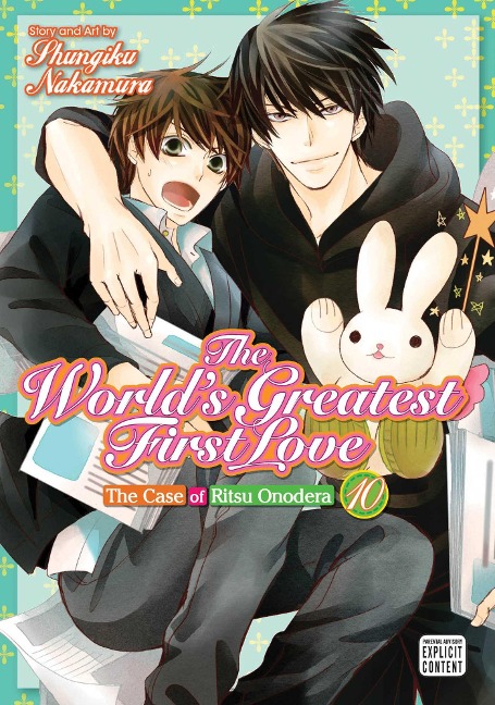 The Worlds Greatest First Love, Vol. 10: The Case of Ritsu Onodera