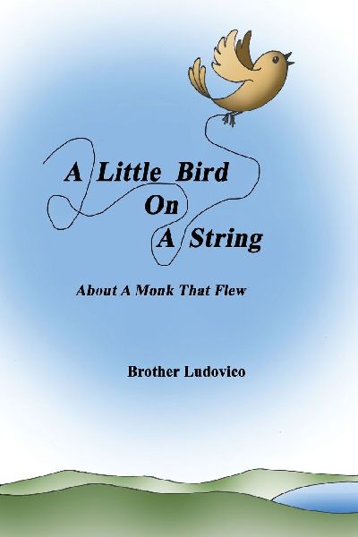 A Little Bird On A String