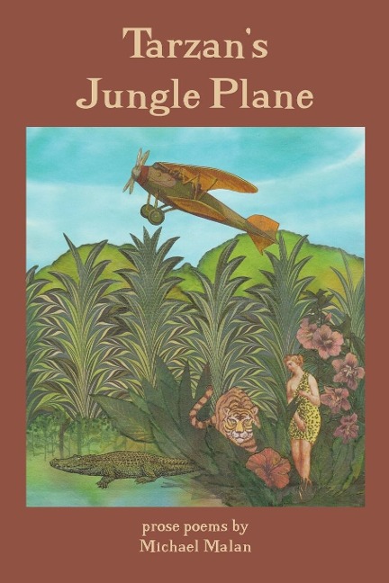 Tarzans Jungle Plane