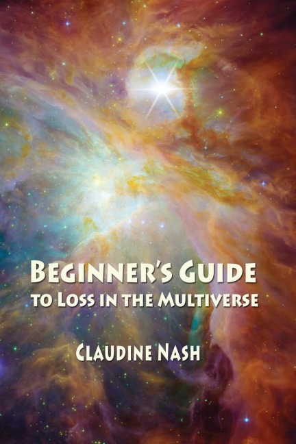 Beginners Guide to Loss in the Multiverse