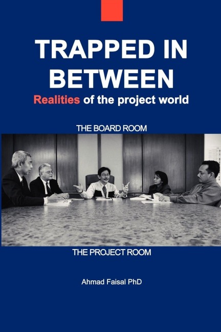 Trapped in Between: Realities of the Project World