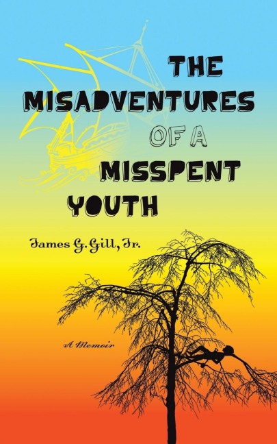The Misadventures of a Misspent Youth: A Memoir