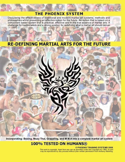 Re-Defining Martial Arts for the Future: The Phoenix System