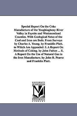 Special Report On the Coke Manufacture of the Youghiogheny River Valley in Fayette and Westmoreland Counties. With Geological Notes of the Coal and Iron ore Beds. From Surveys by Charles A. Young. by Franklin Platt. to Which Are Appended: I. A Report On M