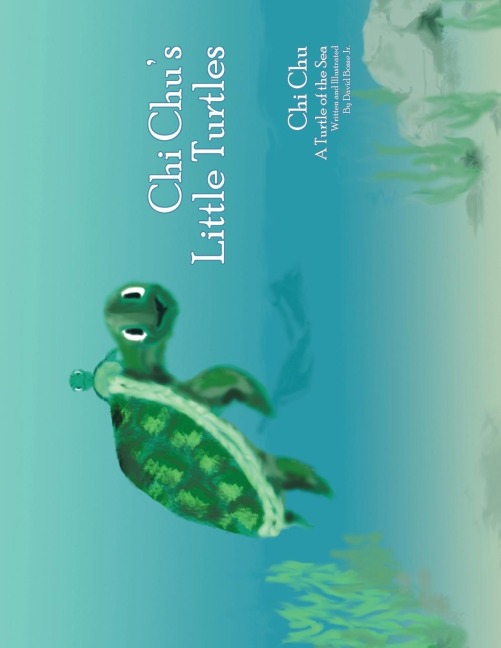 Chi Chus Little Turtles: Chi Chu a Turtle of the Sea
