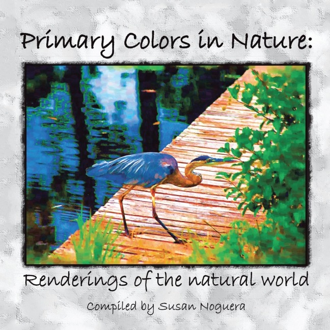 Primary Colors in Nature: Renderings of the Natural World