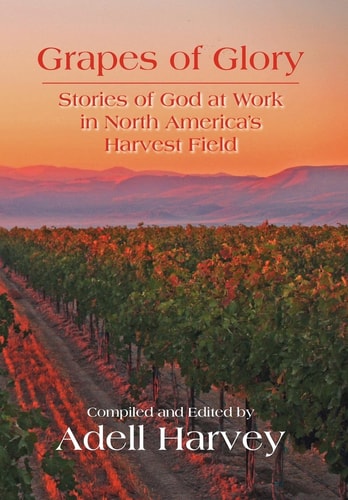Grapes of Glory Stories of God at Work in North America's Harvest Field