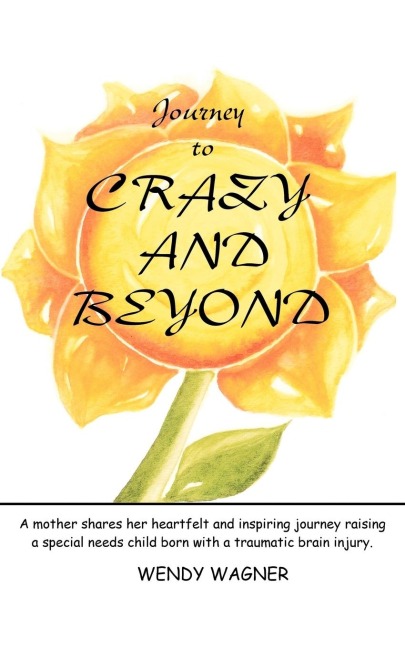 Journey To Crazy And Beyond: A mother shares her heartfelt and inspiring journey raising a special needs child born with traumatic brain injury