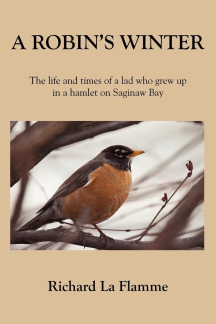 A ROBINS WINTER: The life and times of a lad who grew up in a hamlet on Saginaw Bay