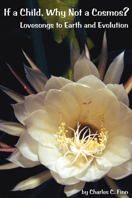 If A Child, Why Not A Cosmos?: Lovesongs To Earth And Evolution