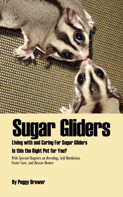Sugar Gliders: Living with and Caring for Sugar Gliders Is This the Right Pet for You?