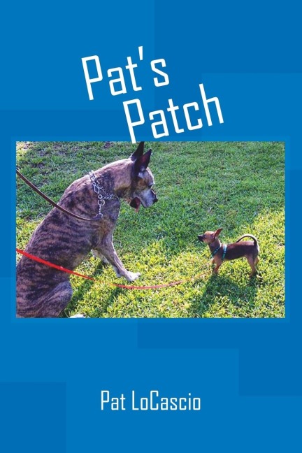 Pats Patch