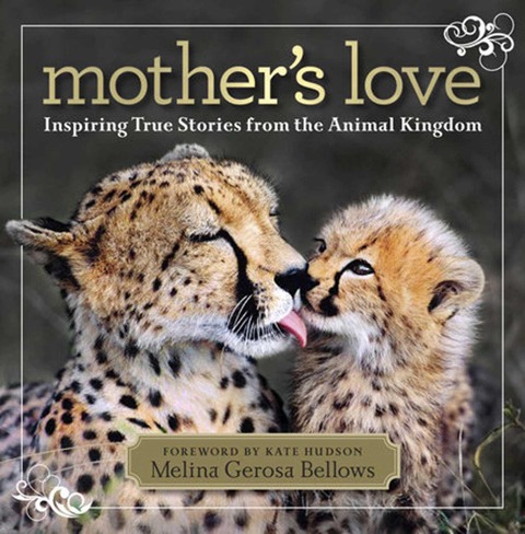 Mothers Love: Inspiring True Stories from the Animal Kingdom
