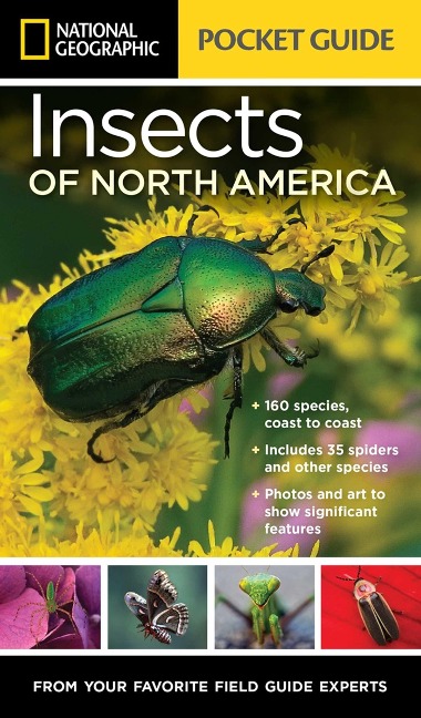 National Geographic Pocket Guide to Insects of North America: From Your Favorite Field Guide Experts