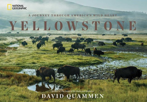 Yellowstone: A Journey Through Americas Wild Heart
