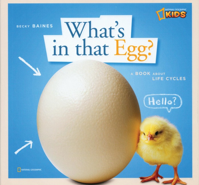Zigzag: Whats in That Egg?: A Book about Life Cycles