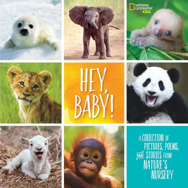 Hey, Baby!: A Collection of Pictures, Poems, and Stories from Natures Nursery