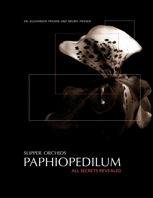 Slipper Orchids, Paphiopedilum: All Secrets Revealed