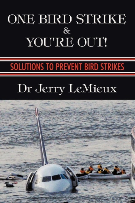 One Bird Strike and Youre Out!: Solutions to Prevent Bird Strikes