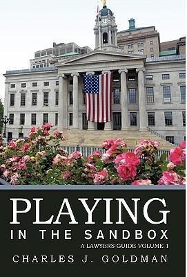 Playing in the Sandbox: A Lawyers Guide Volume 1