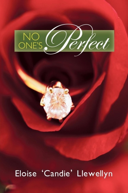 No Ones Perfect