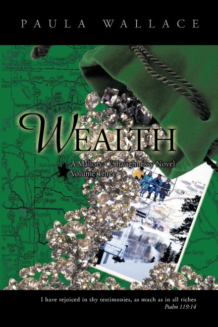 Wealth: A Mallory OShaughnessy Novel: Volume Three