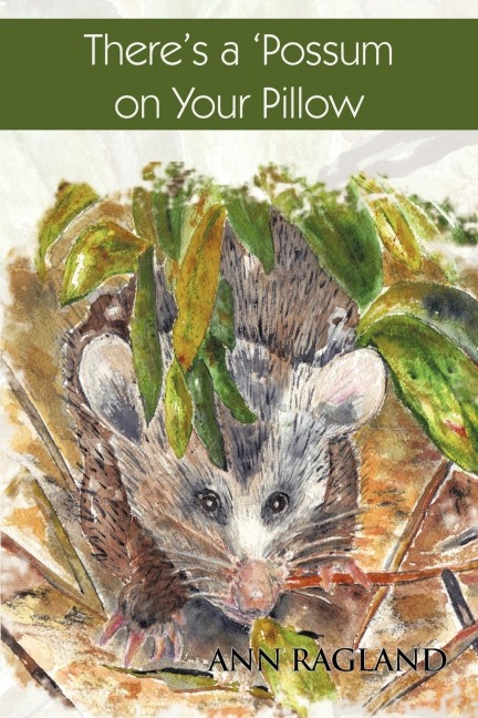 Theres a Possum on Your Pillow