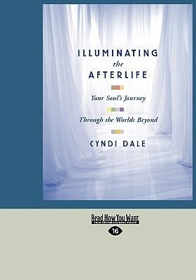 Illuminating the Afterlife: Your Souls Journey Through the Worlds Beyond (Easyread Large Edition)