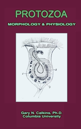 Protozoa Morphology & Physiology