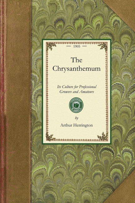 The Chrysanthemum