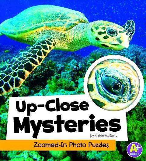 Up-Close Mysteries: Zoomed-In Photo Puzzles