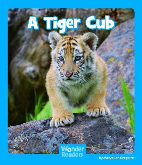 A Tiger Cub