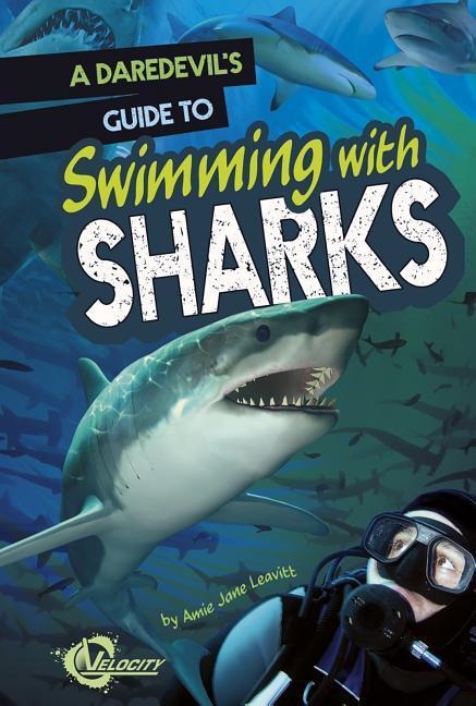 A Daredevils Guide to Swimming with Sharks