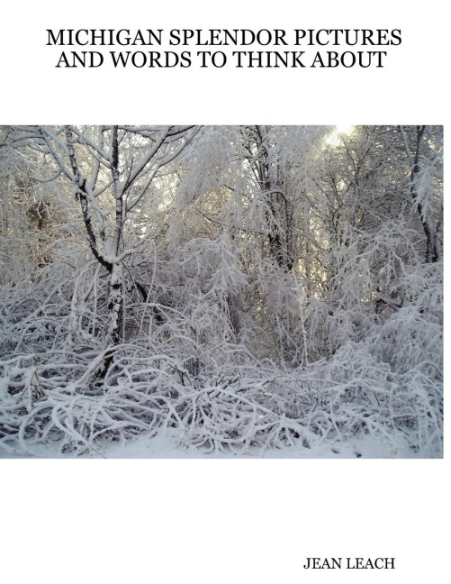 MICHIGAN SPLENDOR PICTURES AND WORDS TO THINK ABOUT