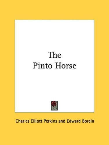 The Pinto Horse