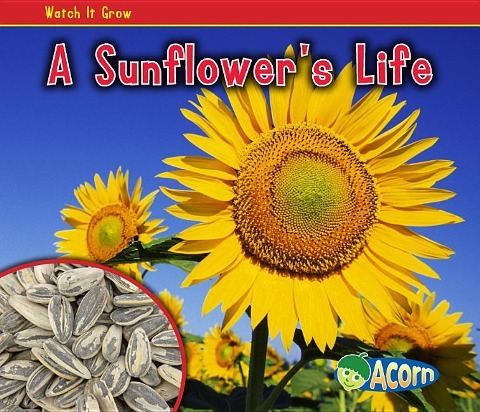 A Sunflowers Life