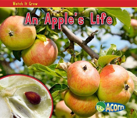 An Apples Life